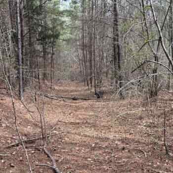 40 +/- Acres - Jefferson County, AL- Cowan Tract