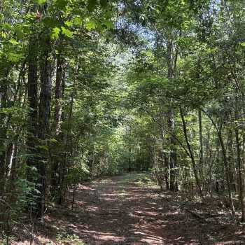 50 acres - Lee County - LHP LLLP 50