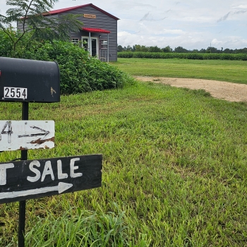 23.31 +/- Ac - Jackson County, FL - Farm and Cabin Tract