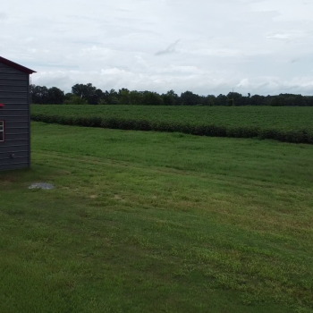 23.31 +/- Ac - Jackson County, FL - Farm and Cabin Tract