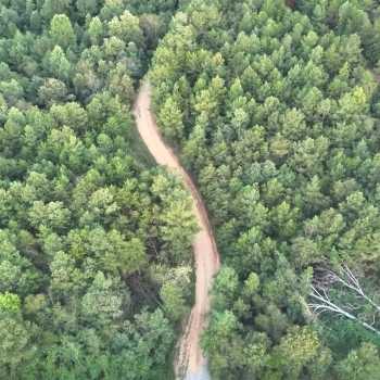 129 +/- Acres - Tuscaloosa County - Watermelon Rd Tract