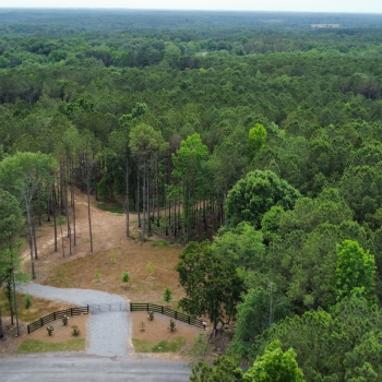 77.85 +/- Acres - Walker County, AL - El Clair Farm Tract