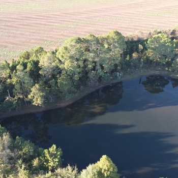 10 ac + pond- Coffee County- County road 529 homesites (Parcel 6)