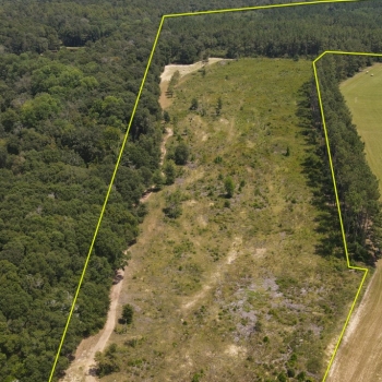 51+/- acres - Dale County, AL - Snow Hill Tract