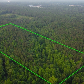 20 +/- Acres - Walker County - Knight Tract