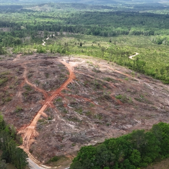 72 Ac - Barbour Co - Gilmore Hill Tract