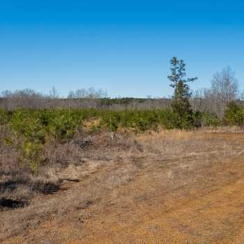 76+/- acres - Chester Co - PT-09