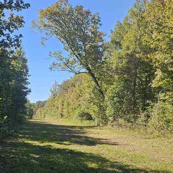 160 acres - Marengo County - Lock 3 Tract