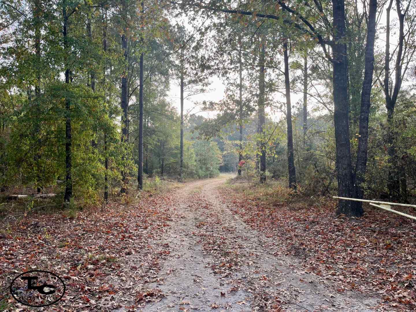 61.jpg