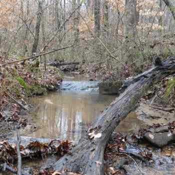 28+-Acres - Coosa County, AL - Backyard Hunting Retreat