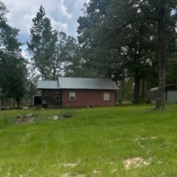 31 +/- Ac - Washington County, AL - Double Branch Tract