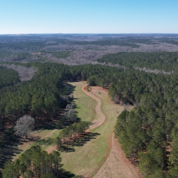 380 acres - Lee County - Tillery Halawalka Tract
