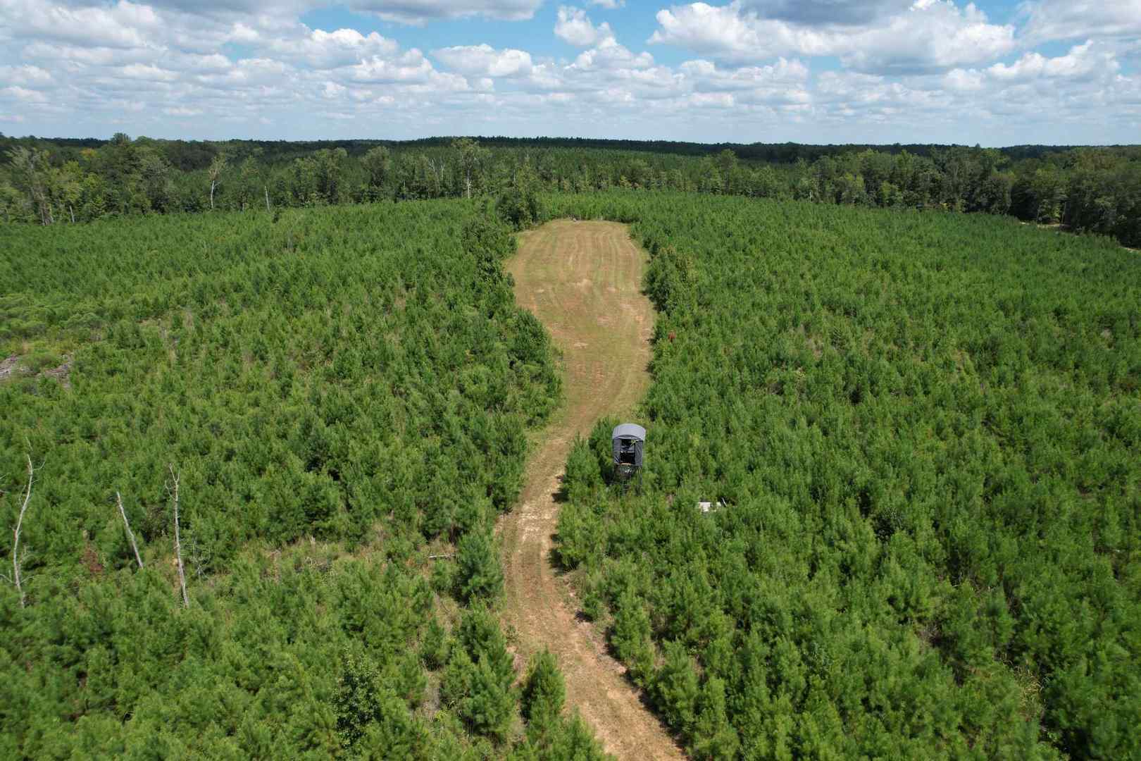 DJI_0875.JPG