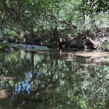 241 acres - Randolph County - Duncan Creek Tract