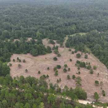 93 Acres - Barbour County - Center Ridge Tract