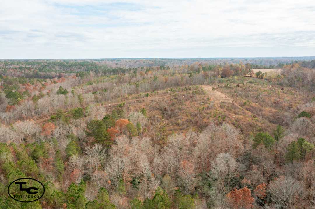 630 ac - Walker County - Curry Property (WM)40.jpg