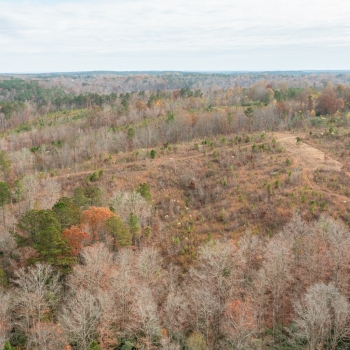 244 +/- Acres - Walker County - King Tract 2