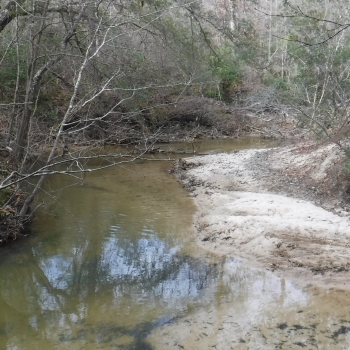 Middle Tallawampa Creek Tract-110ac-Choctaw