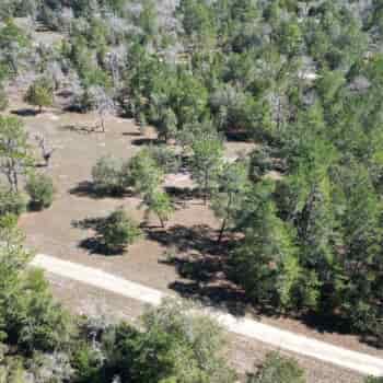 1 +/- Acres - Levy County - Williston Highlands Homesite