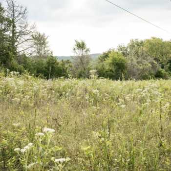 15 Acres of Prime Land in Lawrence County