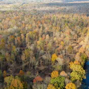 227+/- acres - Madison Co - Perry Switch
