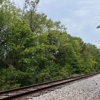 210 +/- Acres - Greene County, AL - Forkland Railroad Tract