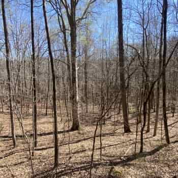 Lake Harding Properties LLLP 131