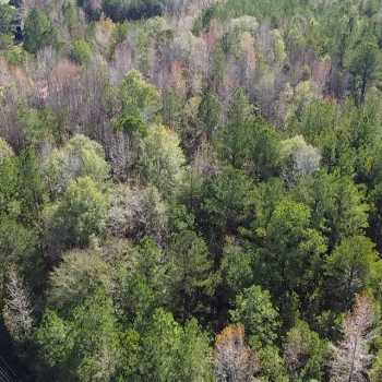 2 +/- Acres - Bibb County - Underwood Road