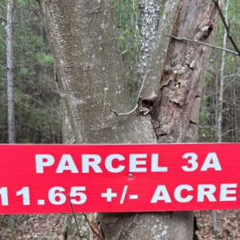 11.6 +/- Ac - Jefferson County, AL - Homesite 3A