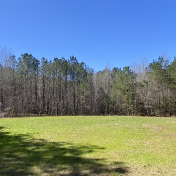 24 acres - Lee County - Lake Harding Properties LLLP 24