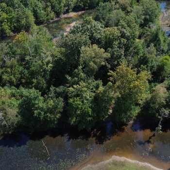 229 +/- Acres - St Clair County, AL - Big Canoe Creek Haven Tract